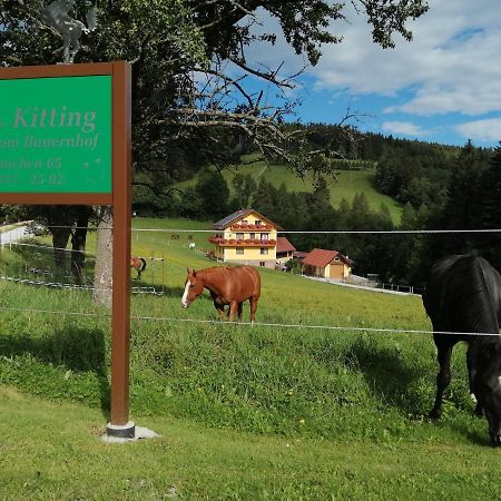 הוילה Vorau Urlaub Am Bauernhof Familie Kitting מראה חיצוני תמונה
