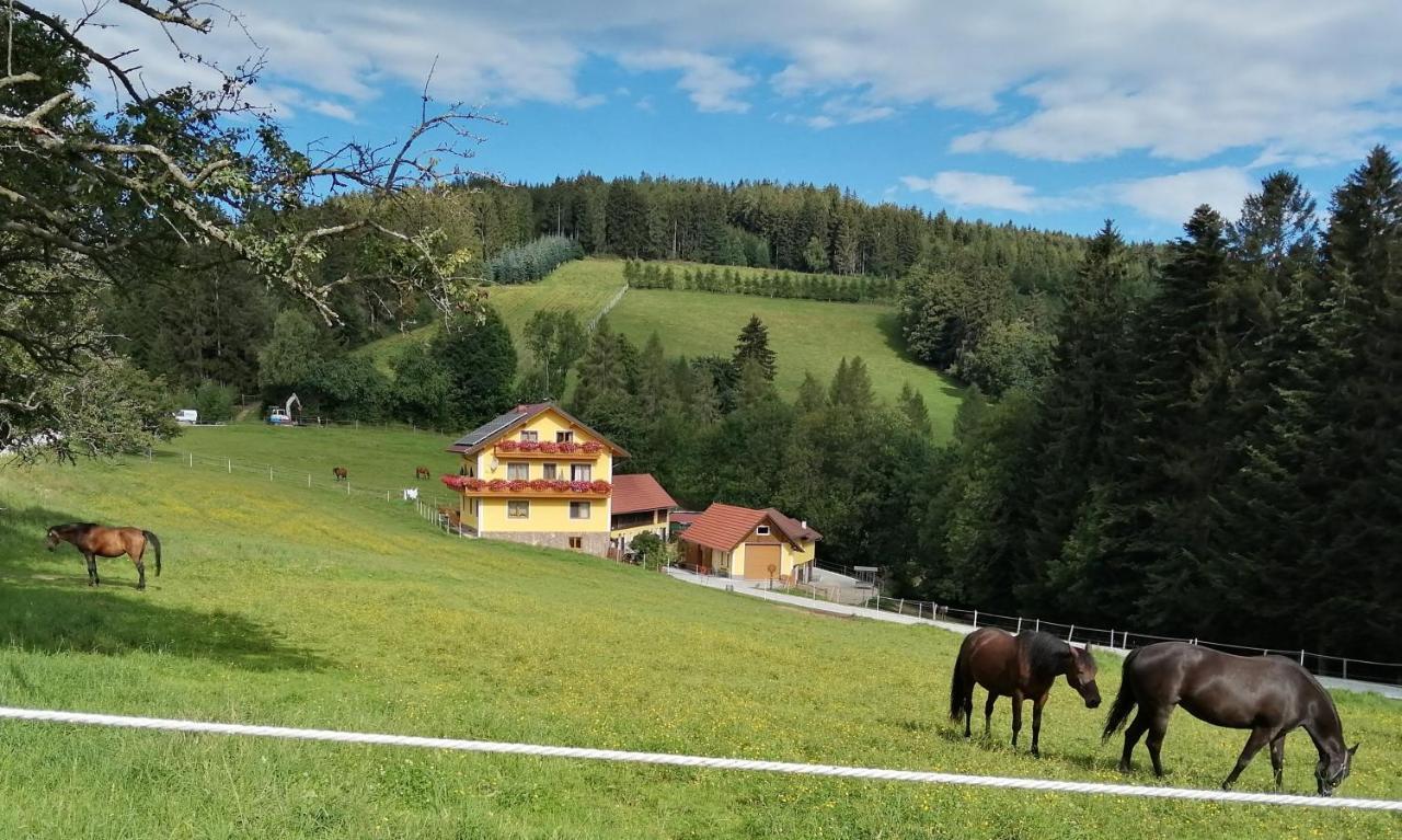 הוילה Vorau Urlaub Am Bauernhof Familie Kitting מראה חיצוני תמונה