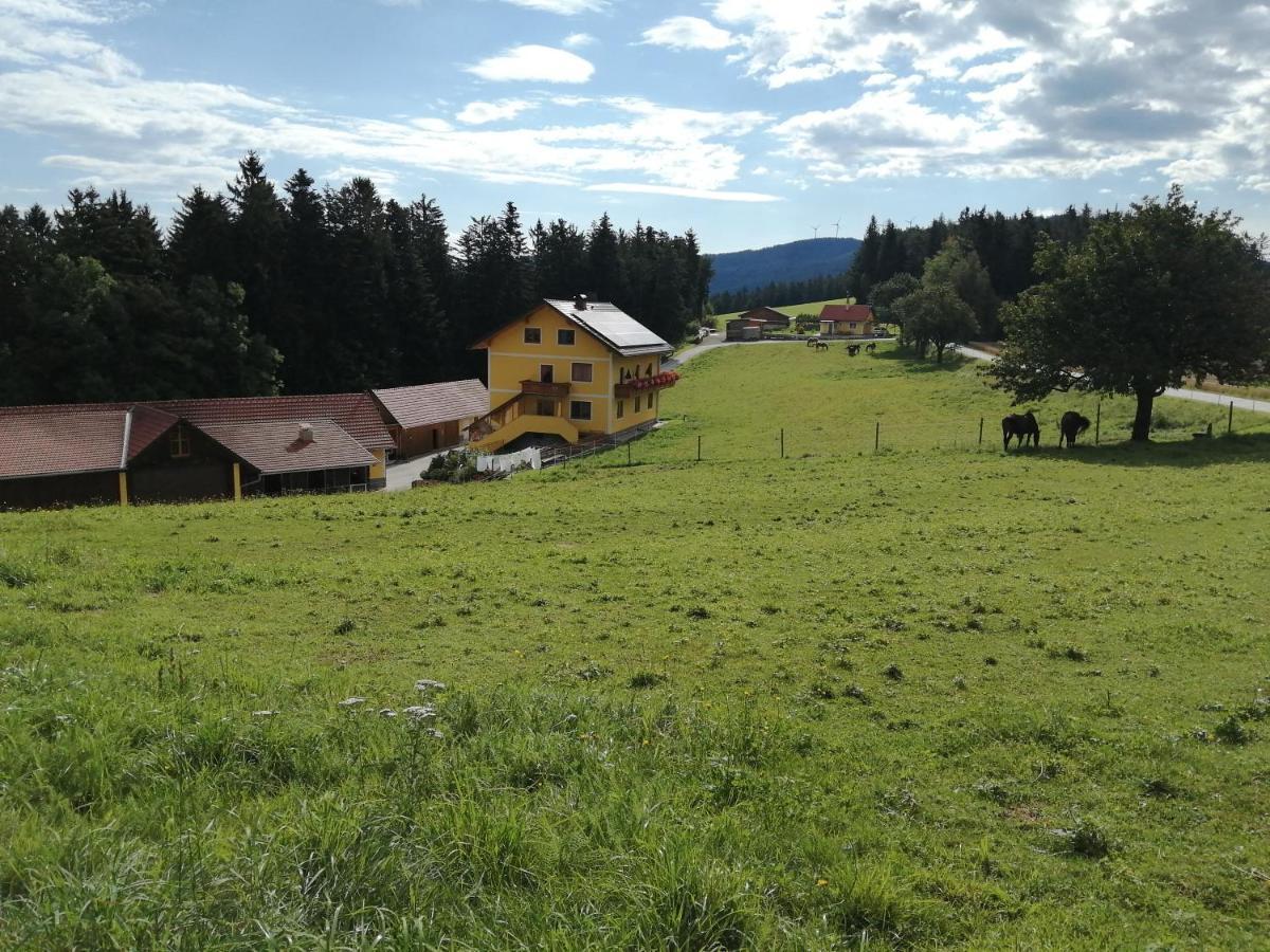 הוילה Vorau Urlaub Am Bauernhof Familie Kitting מראה חיצוני תמונה