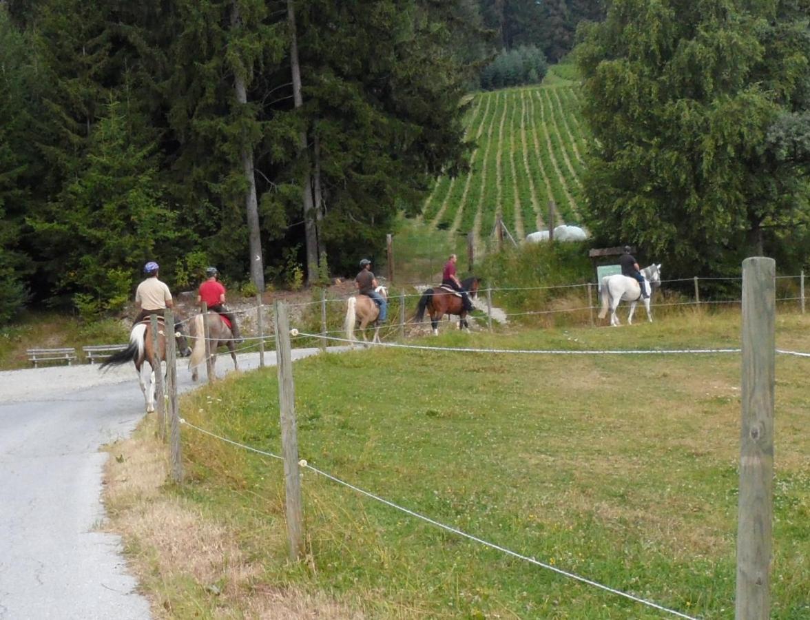 הוילה Vorau Urlaub Am Bauernhof Familie Kitting מראה חיצוני תמונה